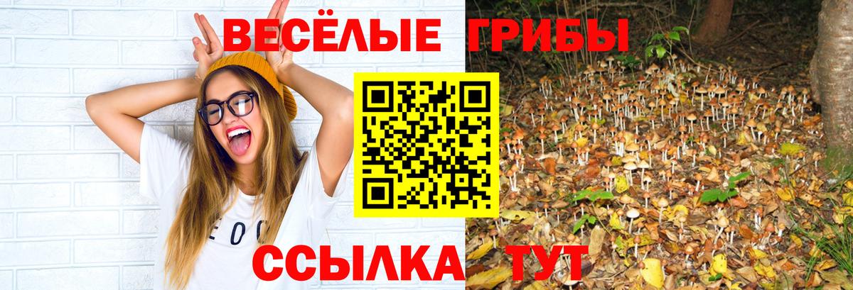 Галлюциногенные грибы прущие грибы Вязьма