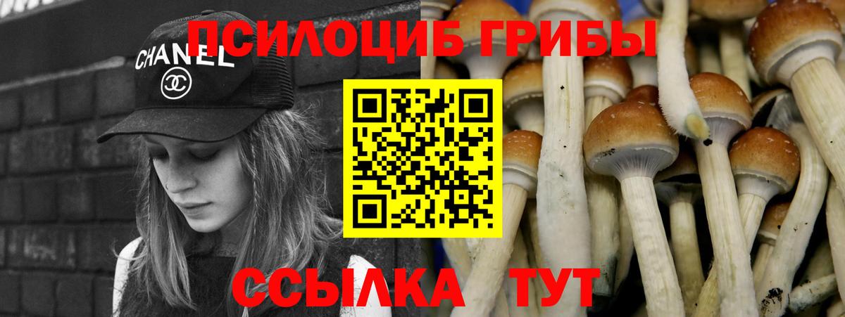 Вязьма  Галлюциногенные грибы ЛСД  Псилоцибиновые грибы Magic Shrooms  Вход с VPN 